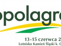 Opolagra 2014, XI edycja